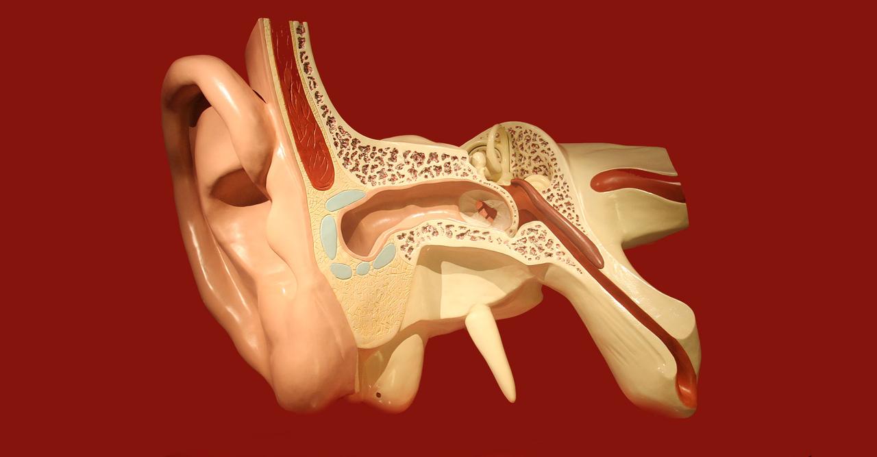 Untitled, image size:1280x667