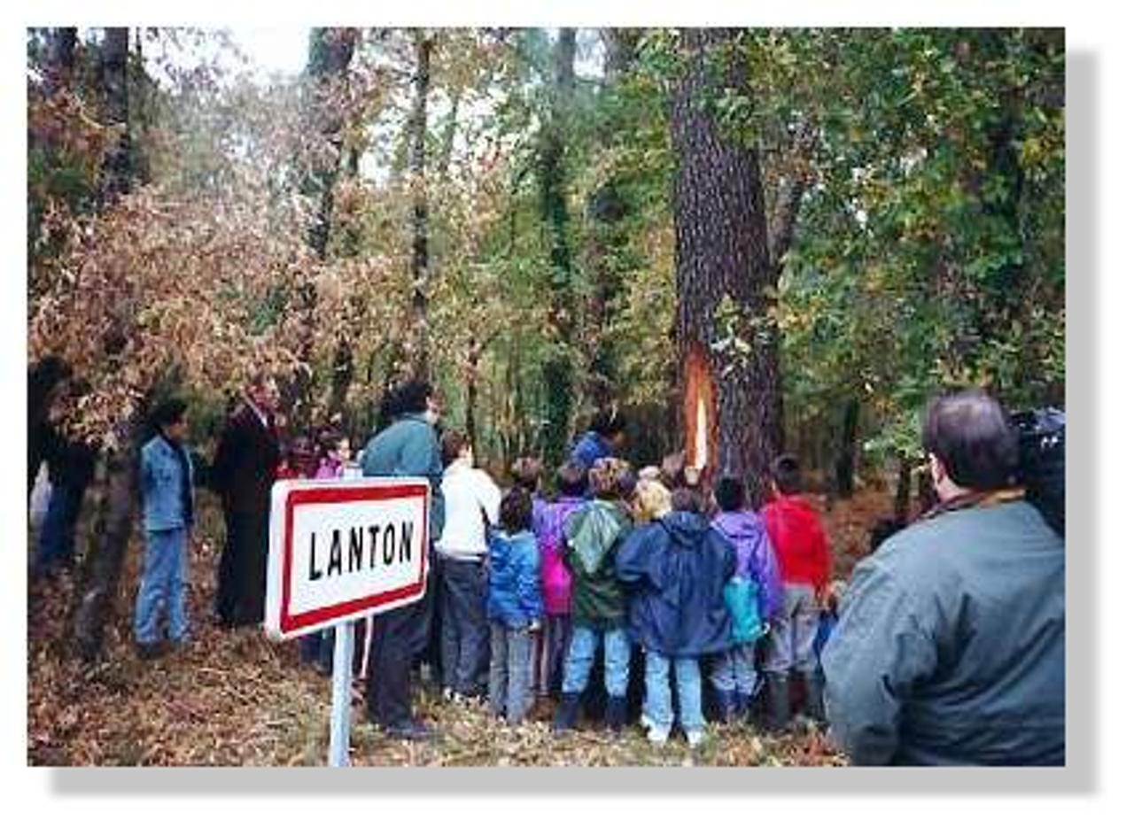 La passion du gemmeur