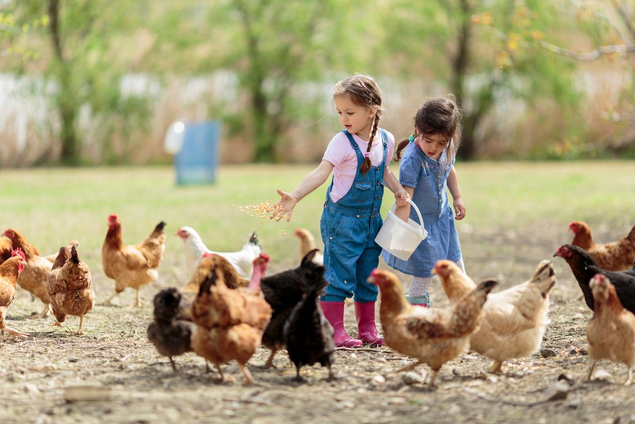 Why did children who grew up on a farm statistically…