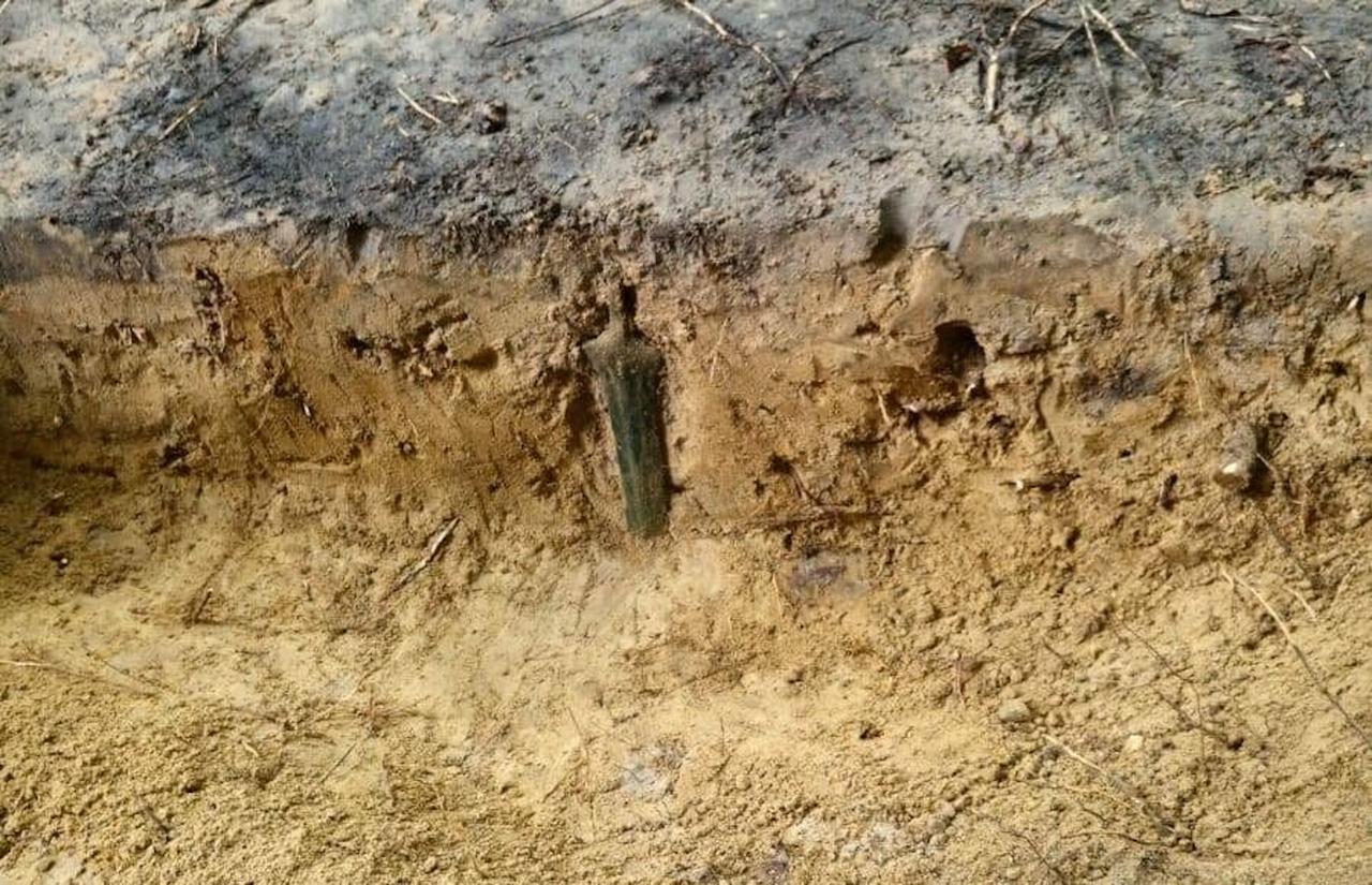 Une épée vieille de 2 700 ans retrouvée plantée à la verticale dans une forêt intrigue les archéologues