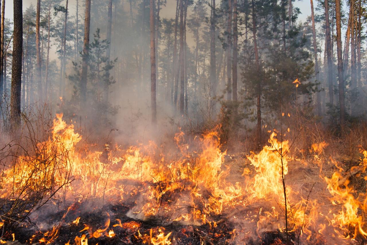 La menace incendie gagne du terrain : vérifiez dès maintenant si votre commune est concernée