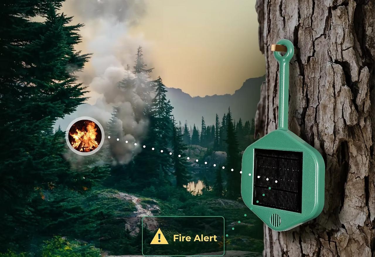 Le Gard teste une nouvelle façon de traquer les incendies : 120 capteurs cachés au cœur de la forêt