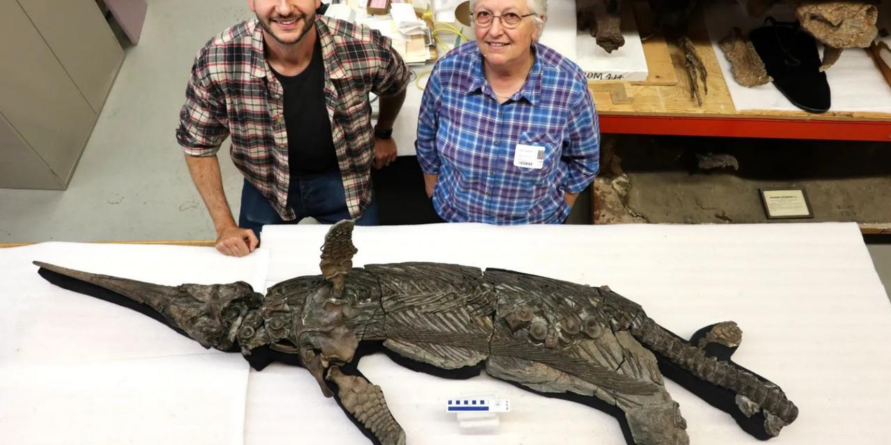 Voici le mystérieux dragon marin qui pourrait résoudre une énigme vieille de presque 200 millions d'années