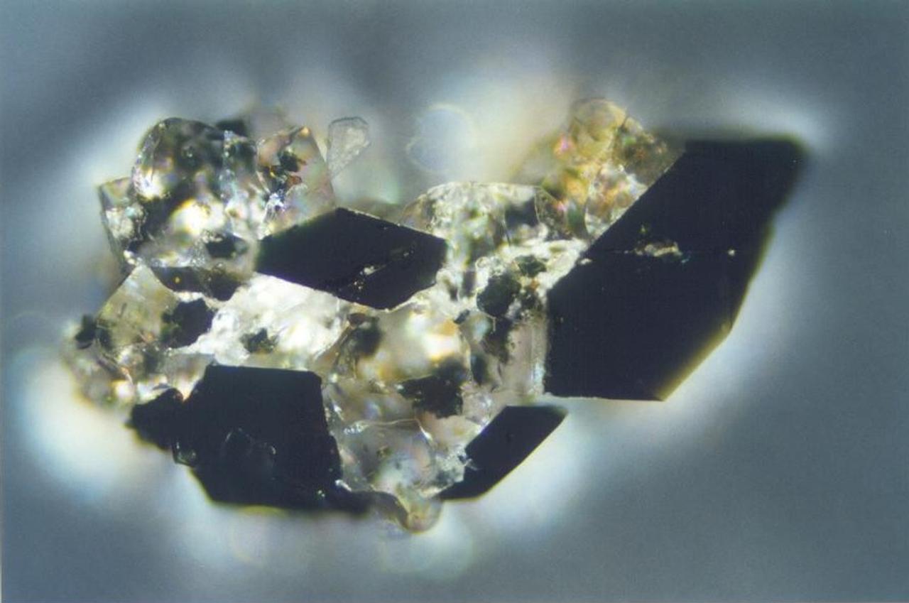 Définition | Microscope en réflexion : qu'est-ce que c'est ? | Futura  sciences, image size:1280x849