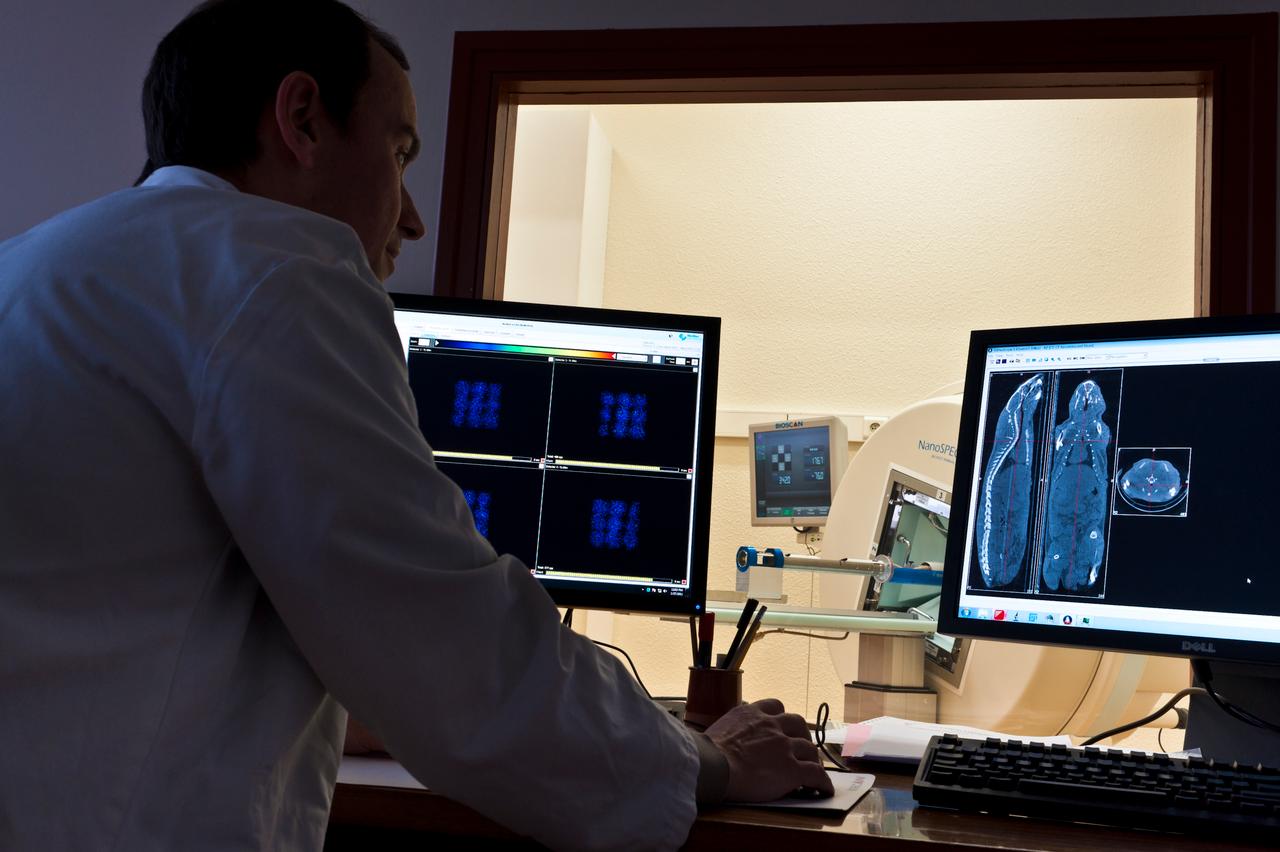 Définition Arthroscanner qu'estce que c'est ? Futura santé — free download