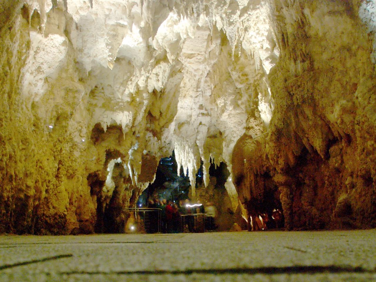 Ce qu’ils ont trouvé dépasse l’imagination : cette grotte cachait depuis un million d’années un monde disparu fascinant