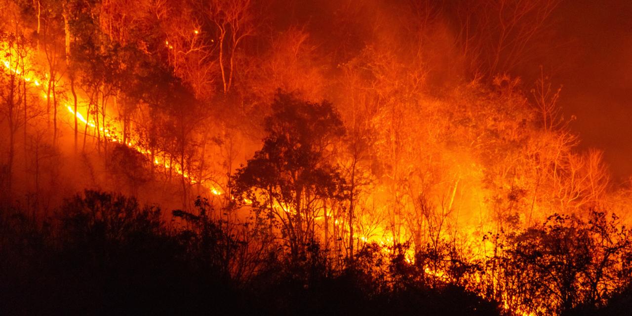 Et si Los Angeles n'était que le début ? Voici l'alerte du CNRS face aux méga-feux qui menacent la France
