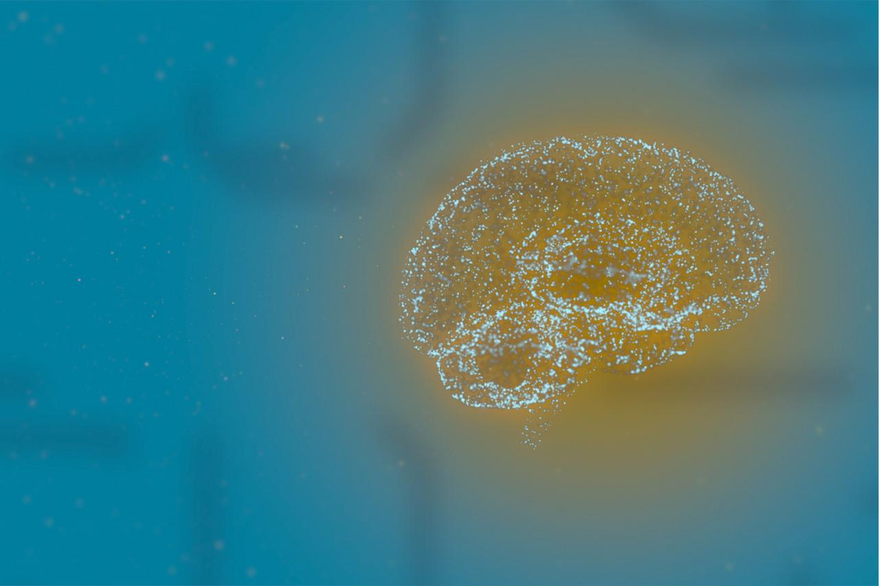 C’est pire que prévu : le cerveau accumule jusqu’à 30 fois plus de microplastiques que certains organes