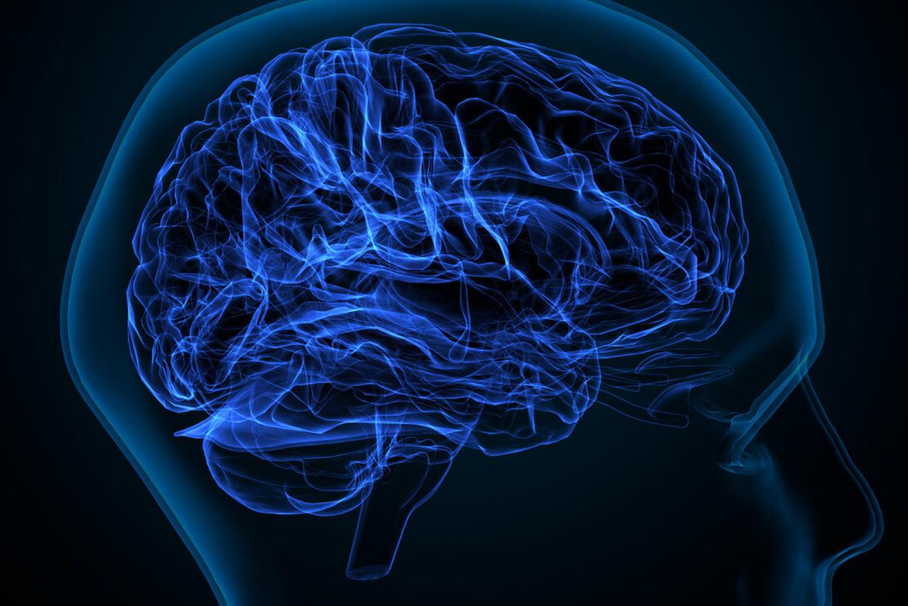 Du plastique dans votre cerveau ? Ce que révèle cette découverte glaçante