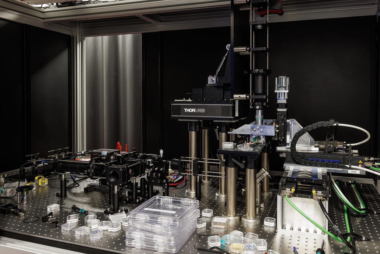 Microsoft a trouvé comment conserver des données pendant des millénaires, sans courant ni maintenance !