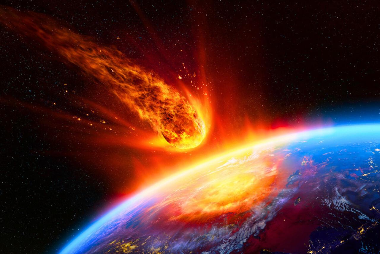 Si l’humanité disparaissait, cette créature pourrait régner sur la Terre dès demain