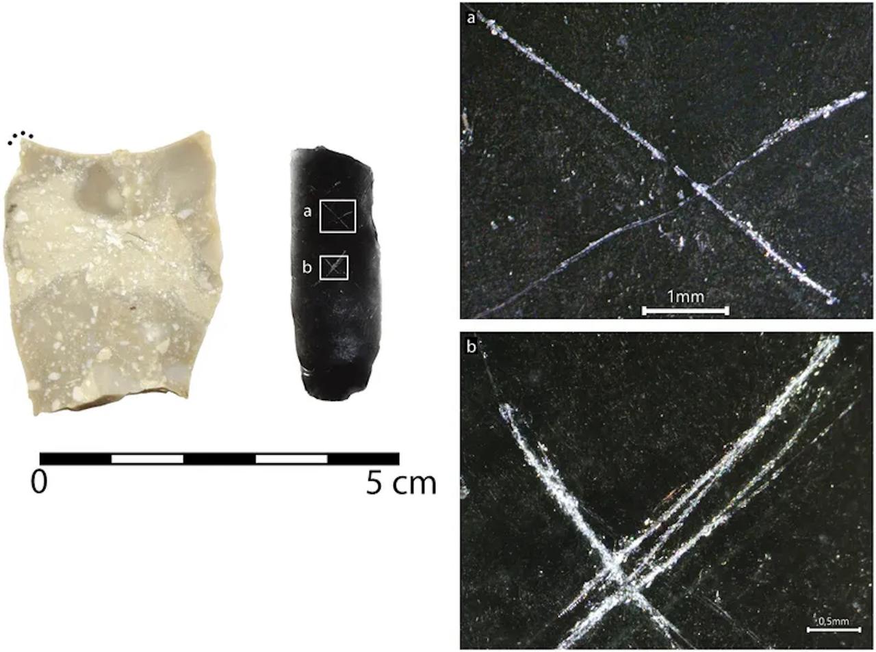 Ces flèches vieilles de 9 000 ans portent un mystérieux message que personne ne sait lire