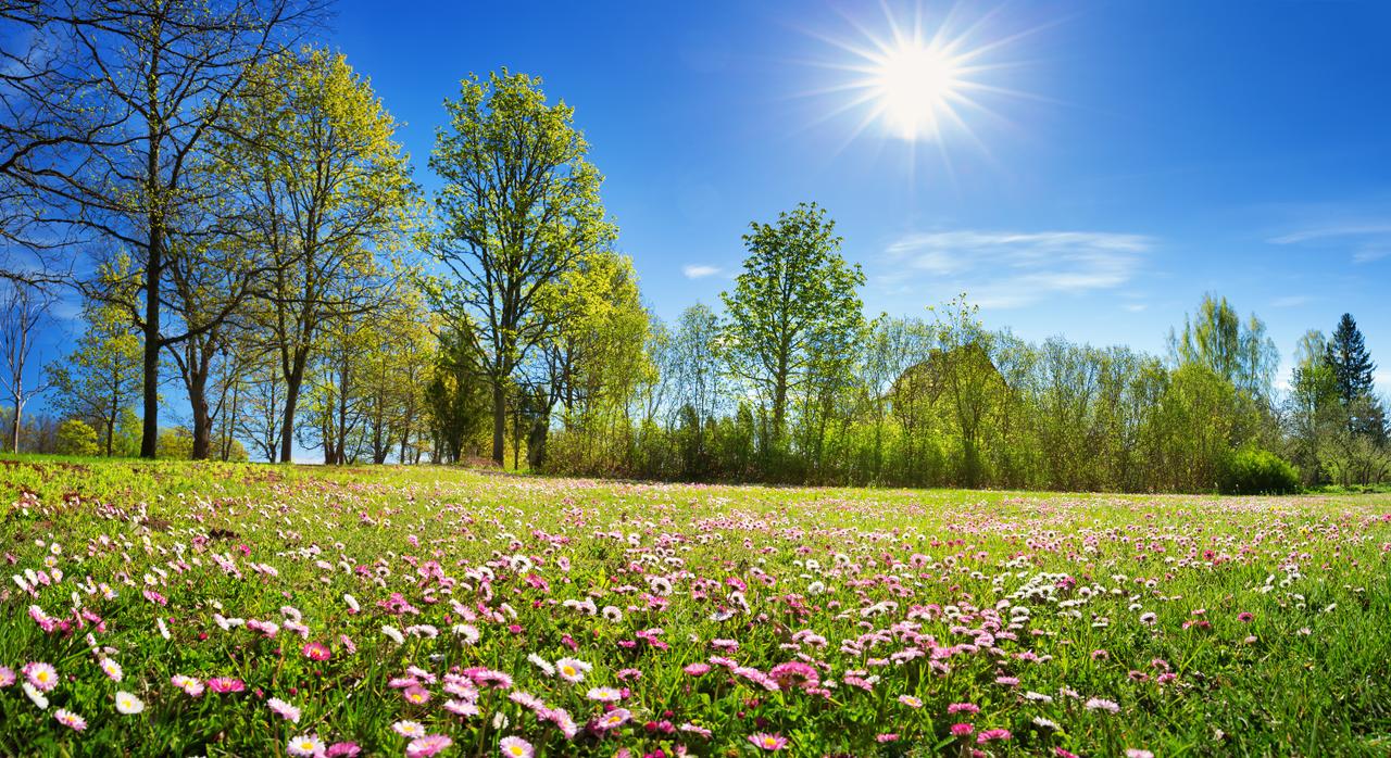 Le printemps s&#39;annonce plutôt sec en France. © candy1812, Adobe Stock