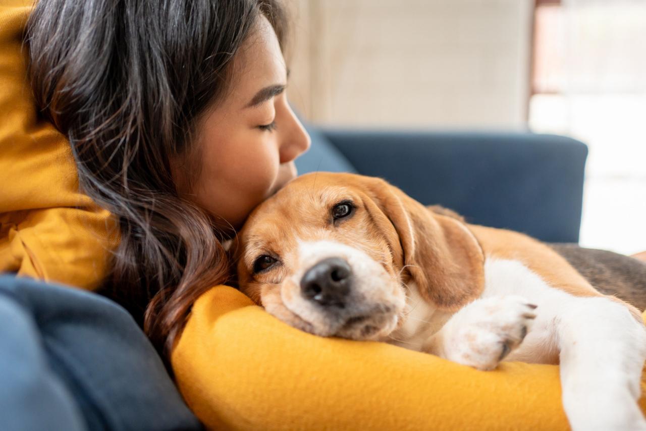 Voici pourquoi vous ressemblez sans doute à votre chien selon des chercheurs