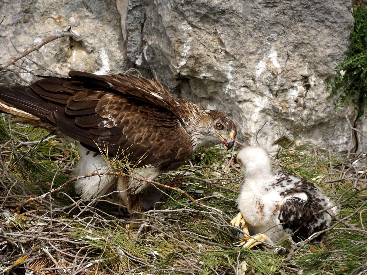 Yukon Fishing Adventure | Tourisme Yukon - Yukon, Canada | Site touristique  officiel du territoire du Yukon, image size:1280x960