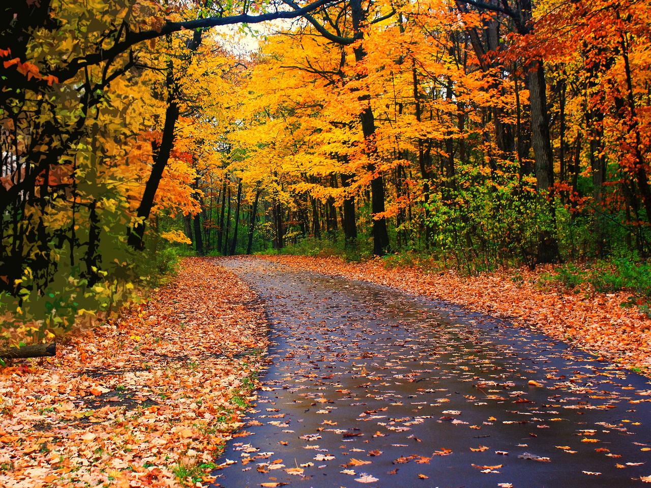 Or et marron l'automne
