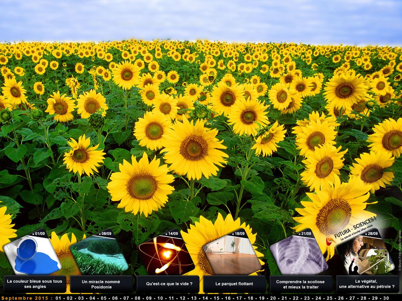 Calendrier Septembre 2015 — free download