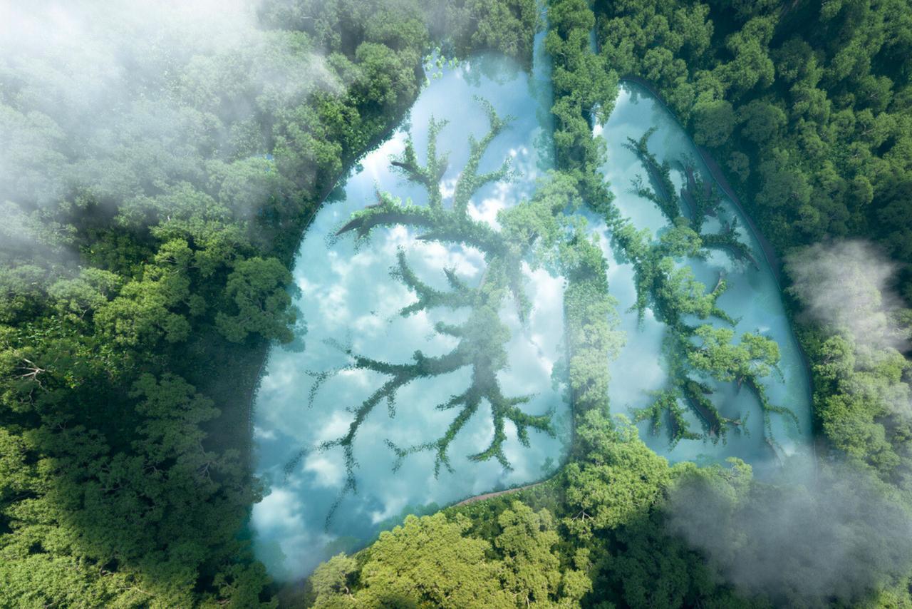 Capturer 20 milliards de tonnes de CO₂ par an : une solution crédible contre le réchauffement climatique ?