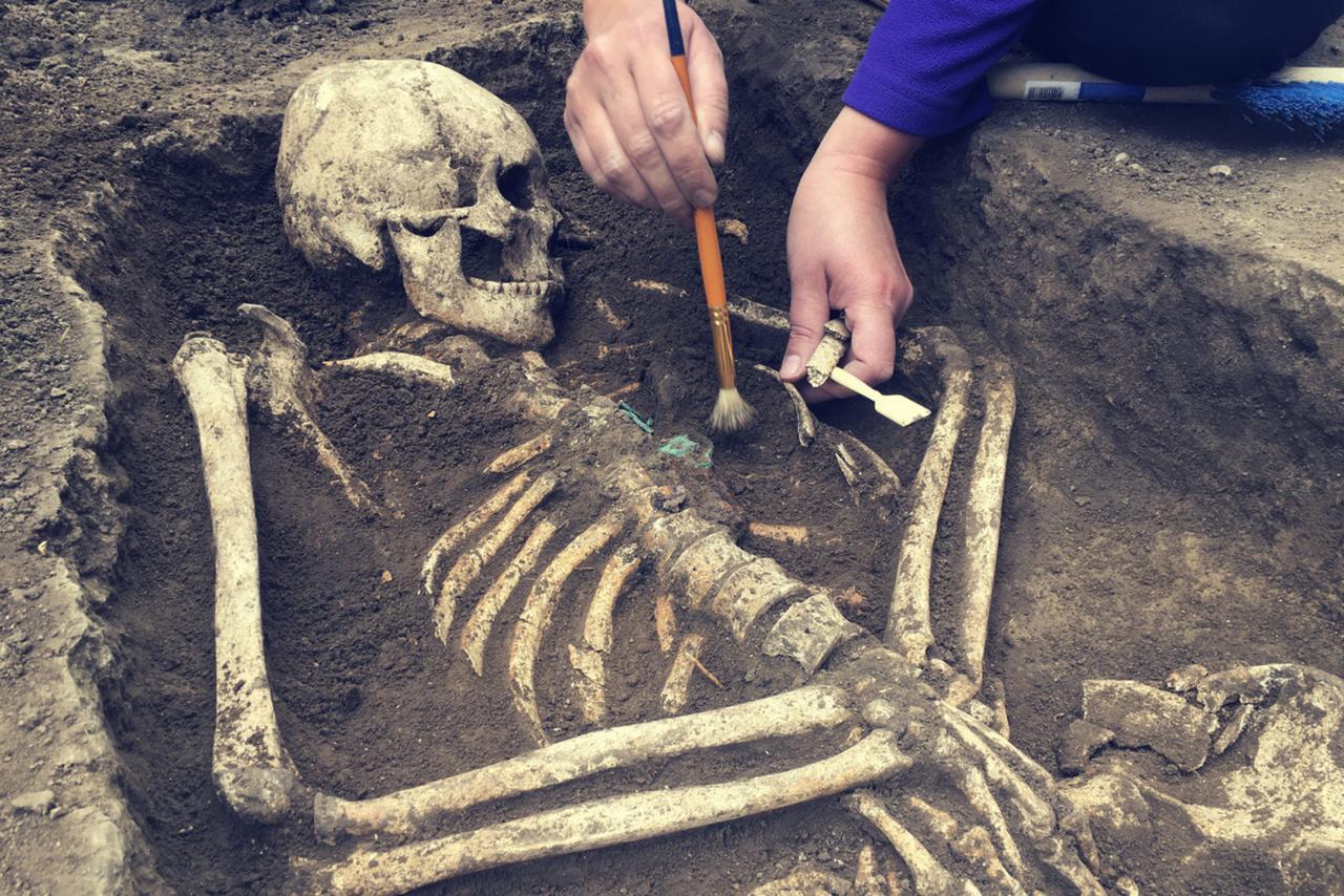 Voici ce que révèle ce squelette vieux de 1 800 ans sur les terribles spectacles de l'Empire romain