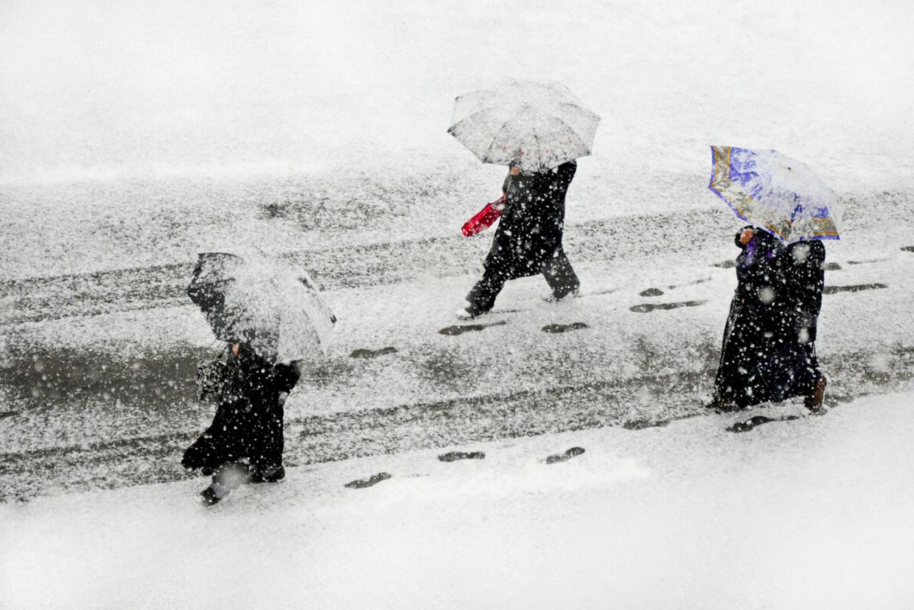 60 cm de neige en Normandie en 24 h : retour sur un épisode météo hors norme !