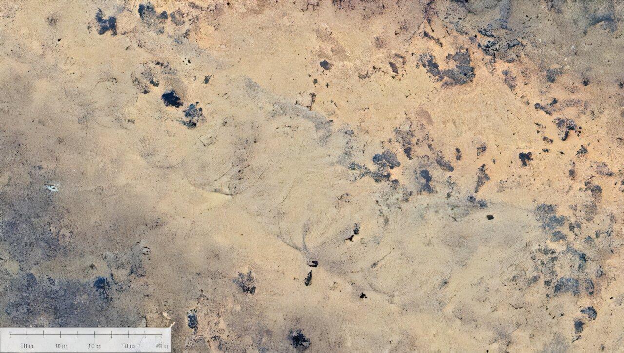 Quelle est cette étrange cicatrice de 11 km repérée dans le désert australien ?