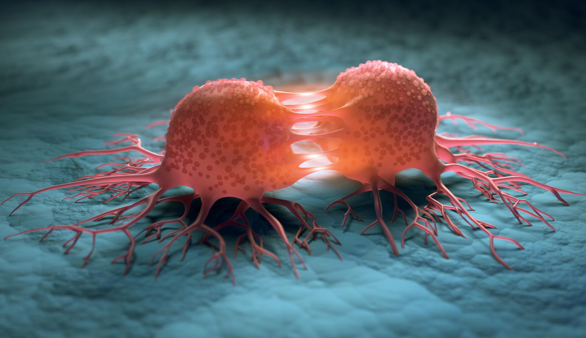 Au Moyen Âge, le cancer faisait aussi des ravages