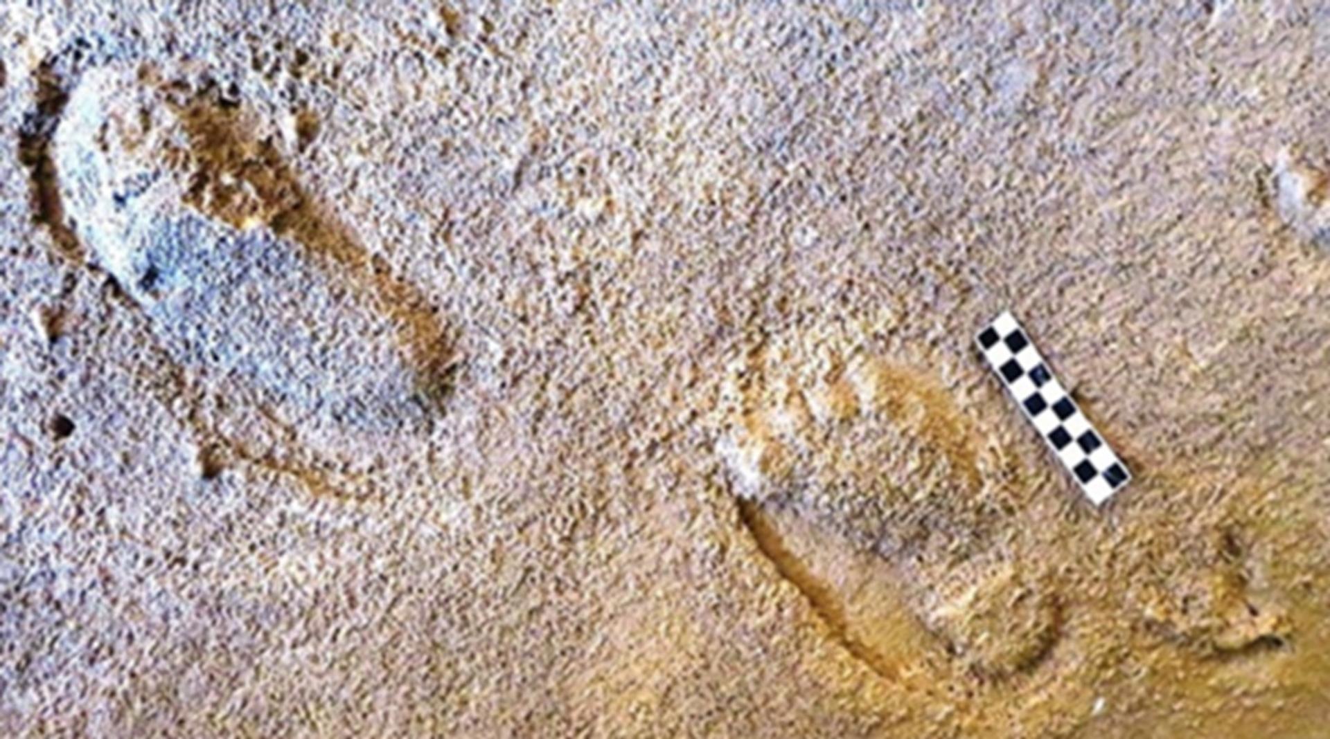 Ce que ces pas fossilisés disent de la vie secrète des Néandertaliens