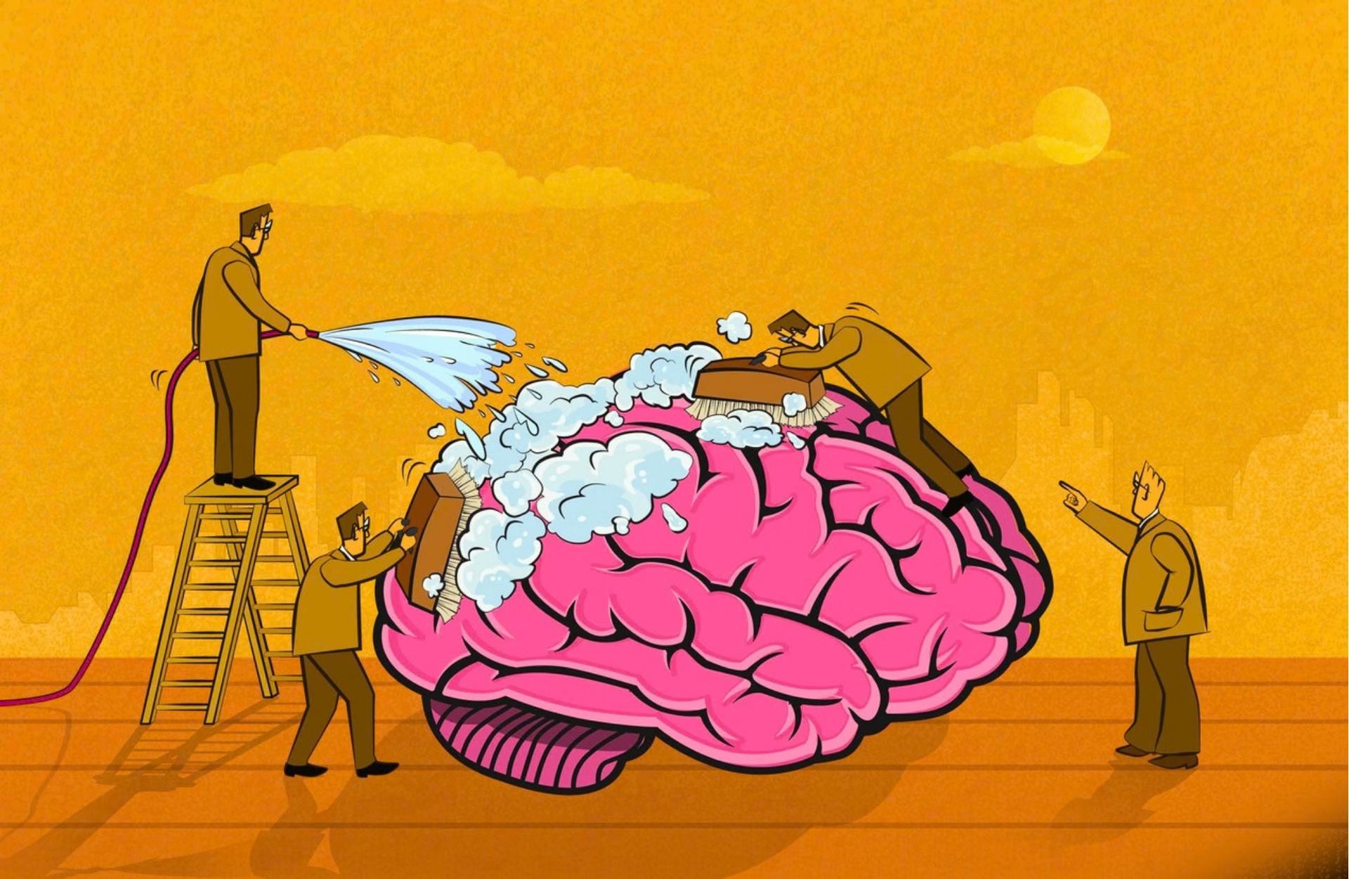 Votre cerveau se lave pendant que vous dormez, et le MIT a trouvé ...