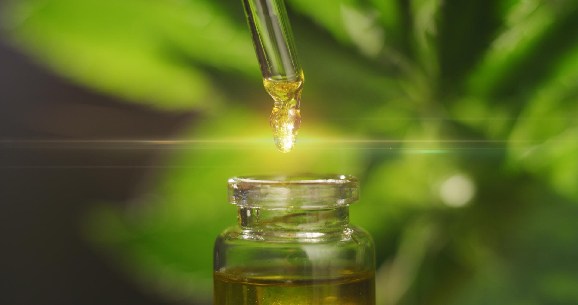 Quel dosage de CBD adopter pour maigrir — free download