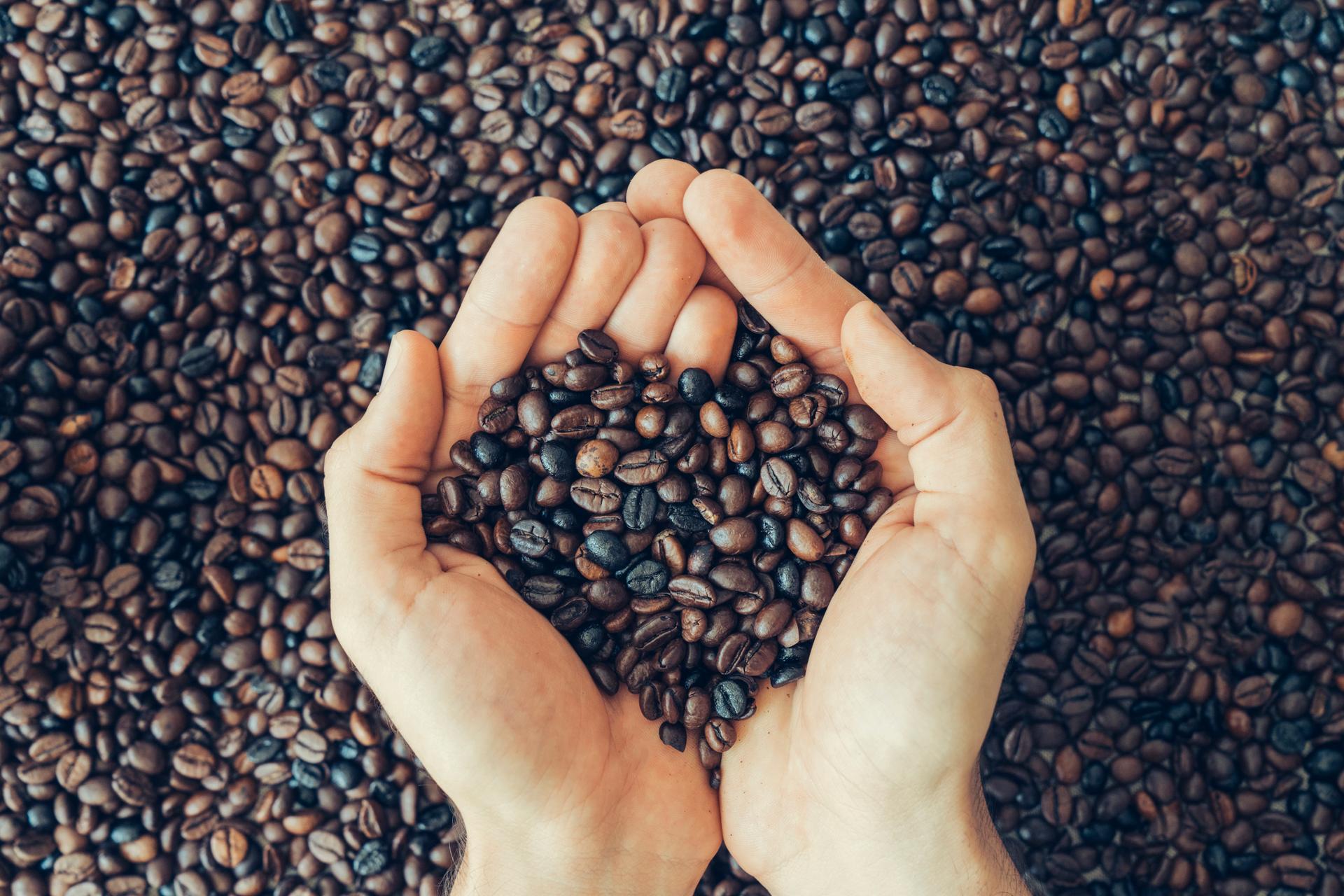 La transition agricole du café devient aussi un enjeu social et climatique