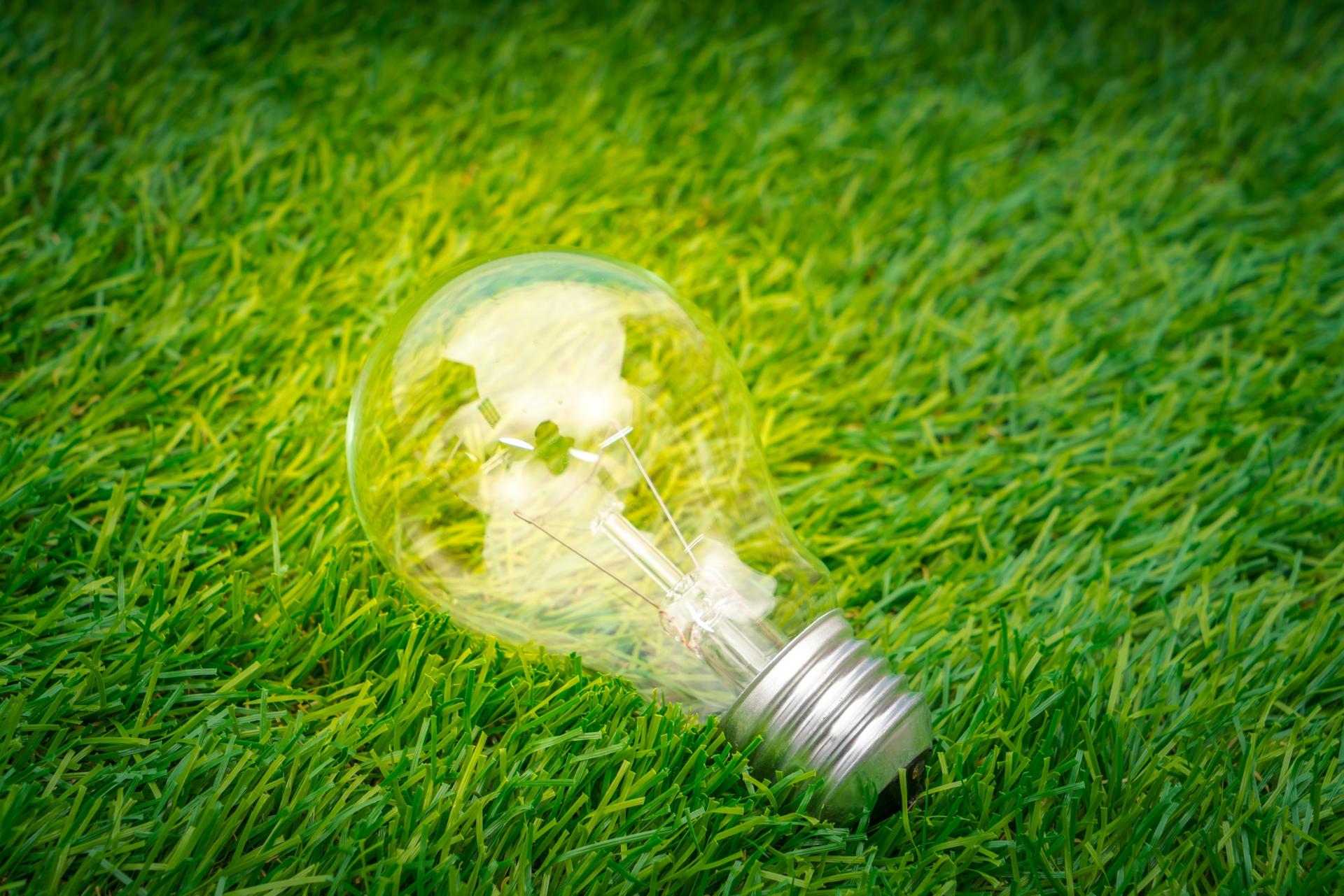 Mint Energie combine prix bas et engagement écologique