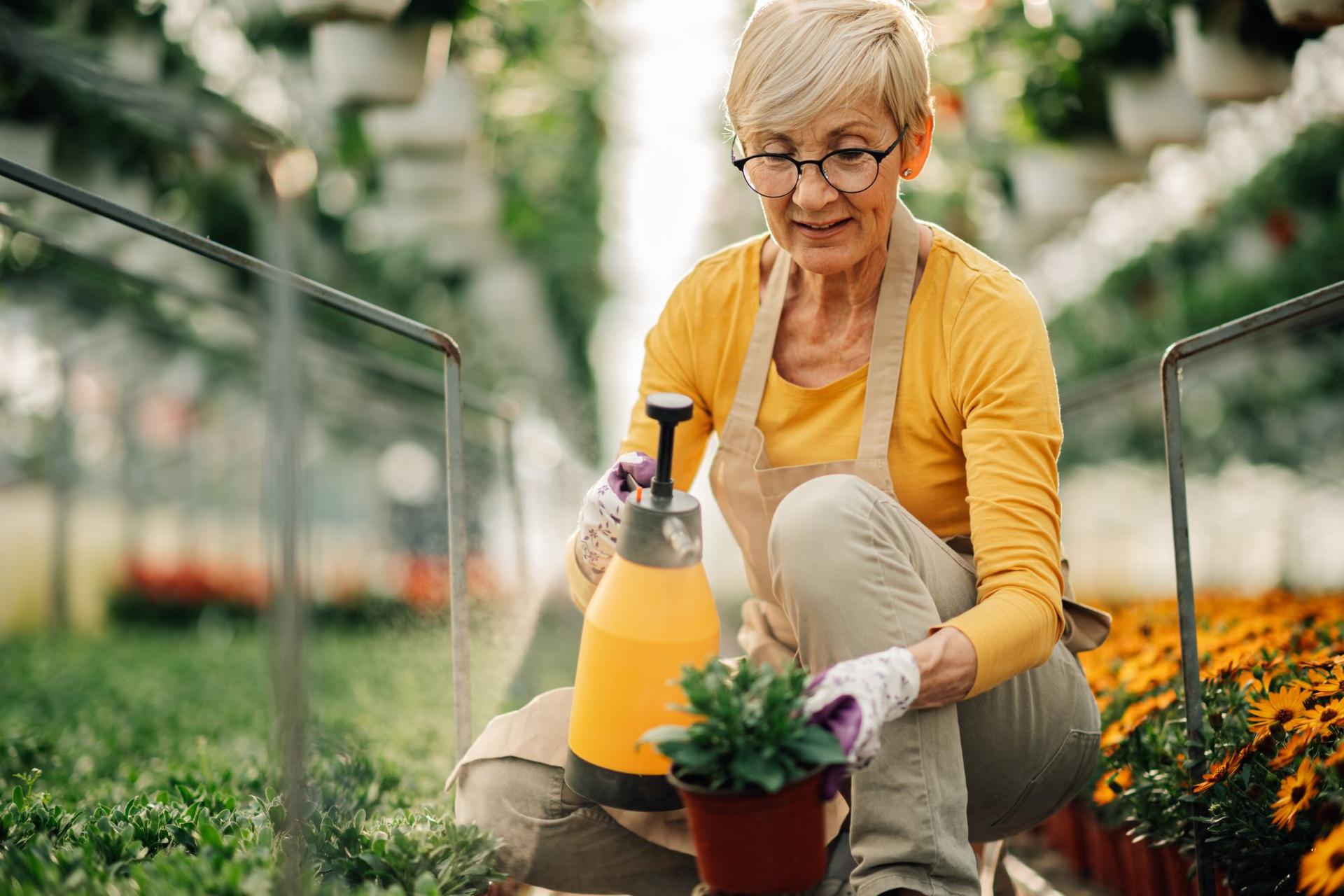 Cancer du sein : 485 substances préoccupantes dans les pesticides, même parmi les ingrédients « inertes »