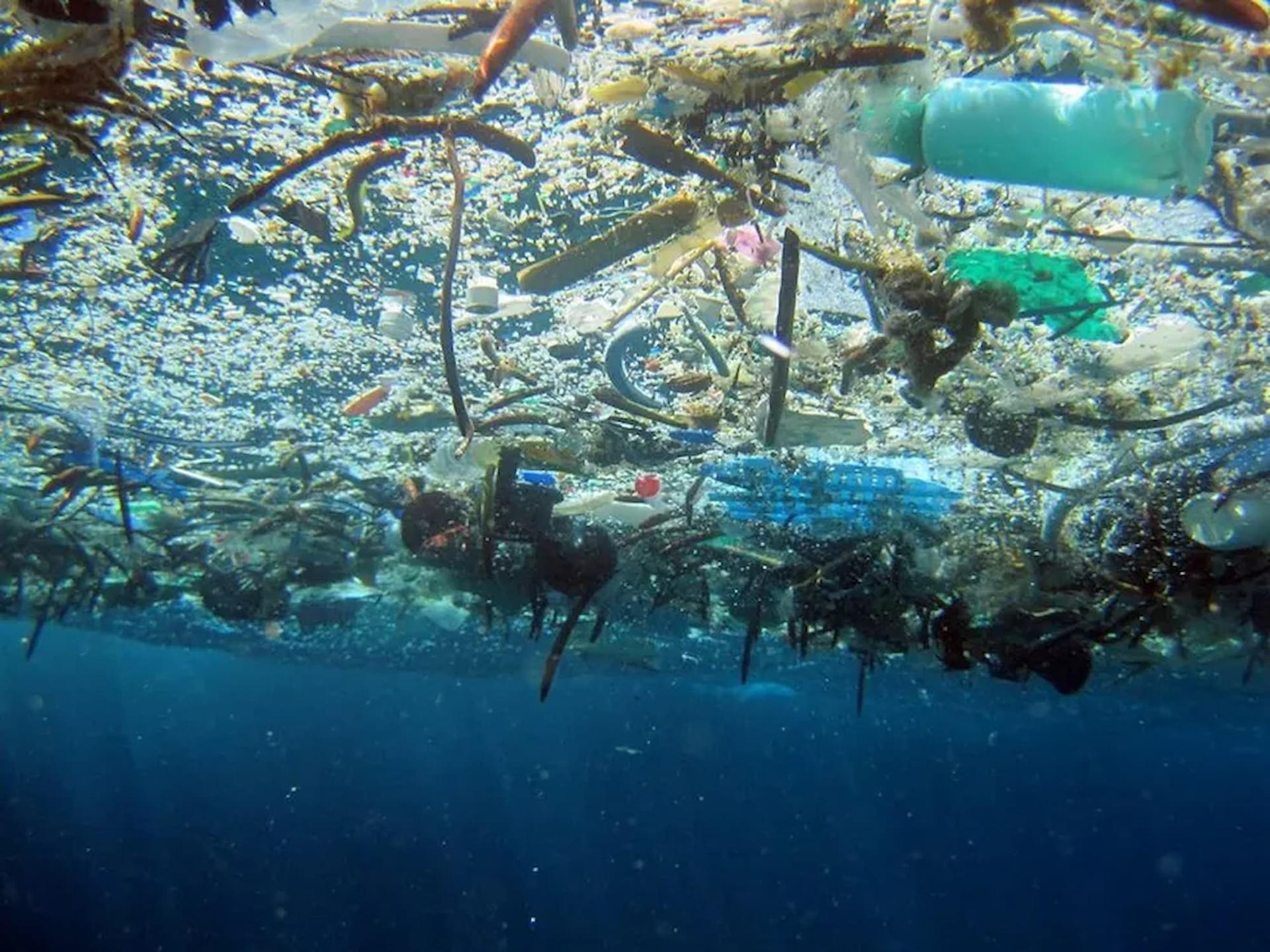 Un nouveau danger des microplastiques : pourquoi les océans pourraient moins bien freiner le réchauffement