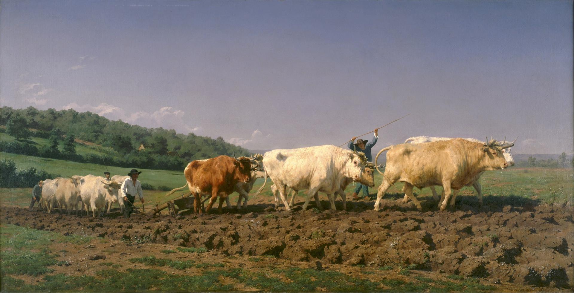 France : l'agriculture a-t-elle fait sa révolution au XVIIIe siècle