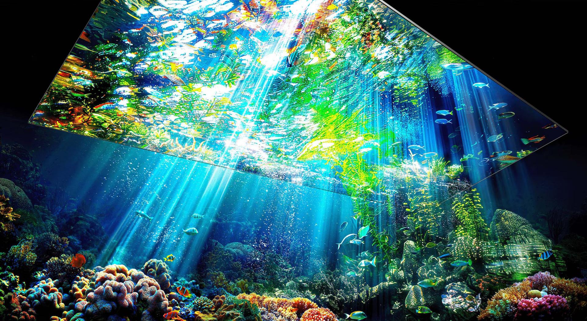 CES 2026 : ces deux technologies d’écran pourraient rendre obsolètes tous les modèles actuels