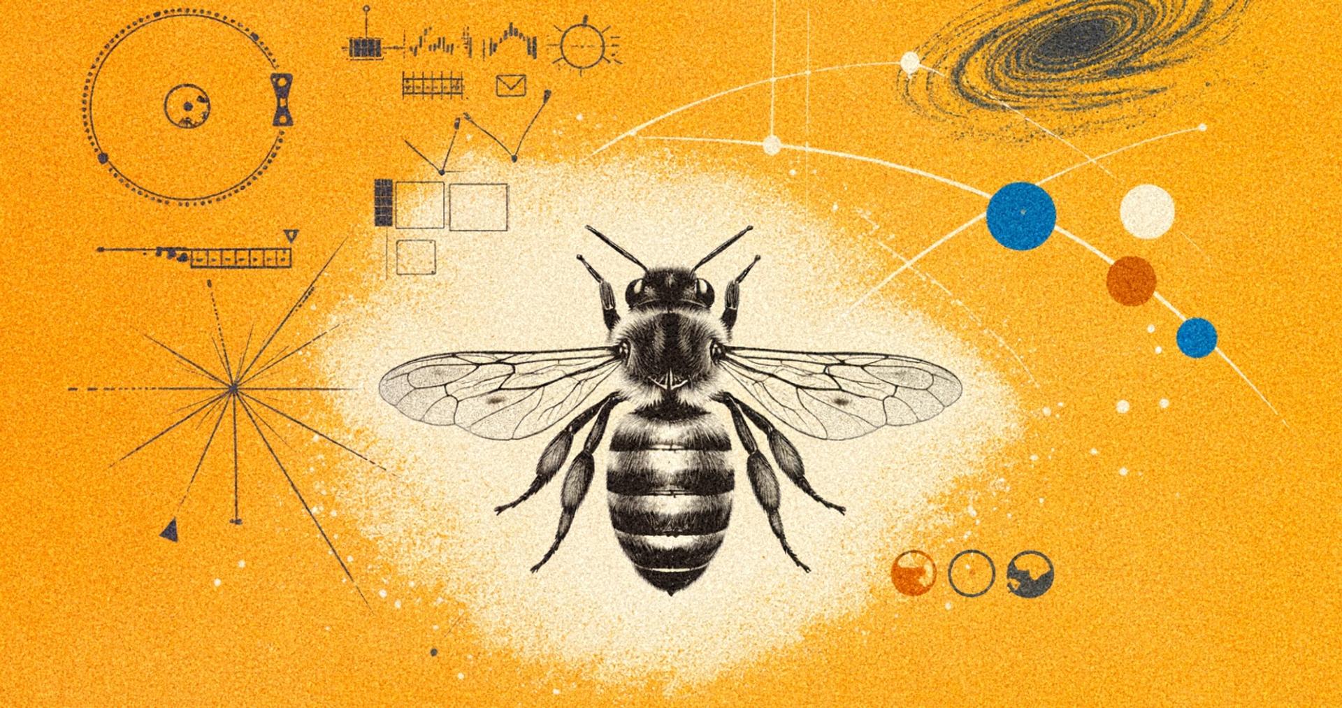 Les abeilles pourraient nous aider à communiquer avec des intelligences extraterrestres