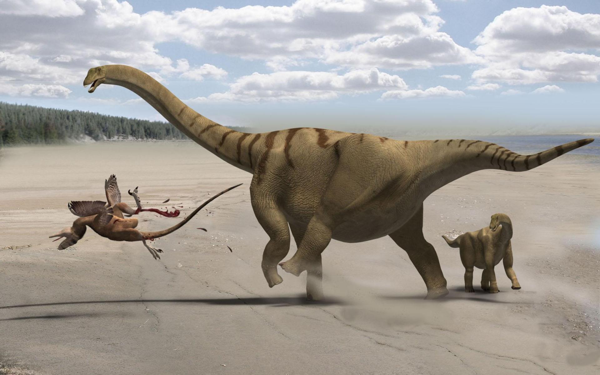 Brontomerus, un nouveau dino du tonnerre