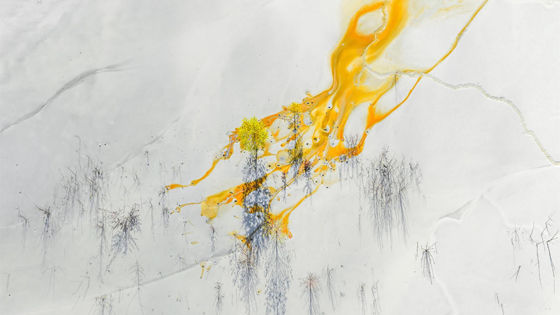 La photo de la semaine : c’est beau, on dirait du Pollock… jusqu’à ce que vous compreniez ce que c’est !