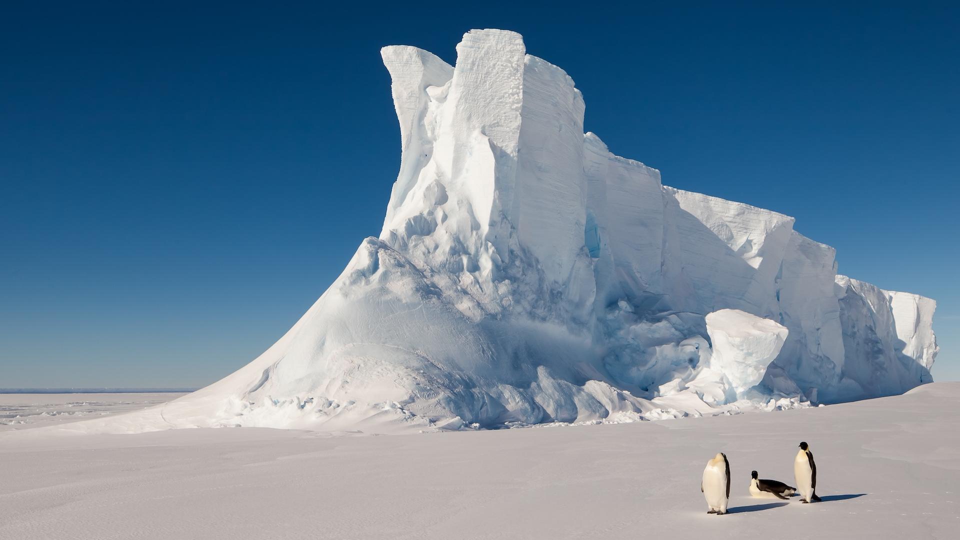 Cette théorie climatique qui redonnait espoir vient d'être contredite par des données de terrain en Antarctique