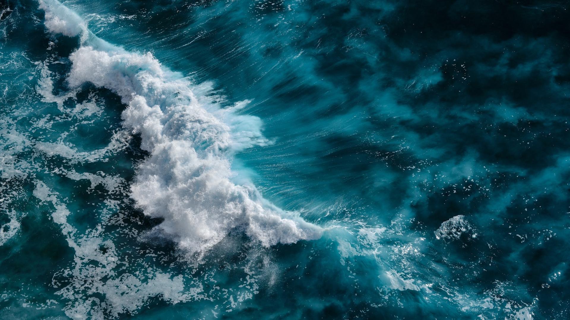 Ils injectent des minéraux pour "nourrir" l'océan... l'université Cornell révèle le vrai prix de cette expérience