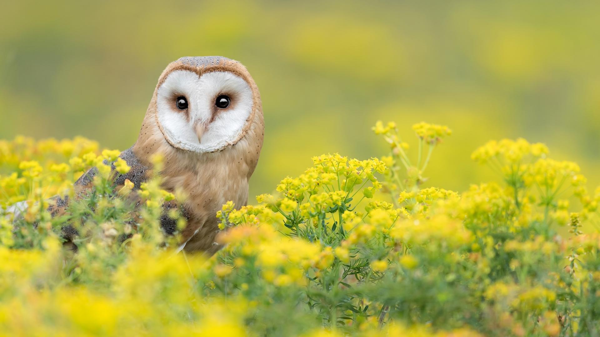Réchauffement climatique : le constat de ces chercheurs est sans appel... La nature a déposé les armes