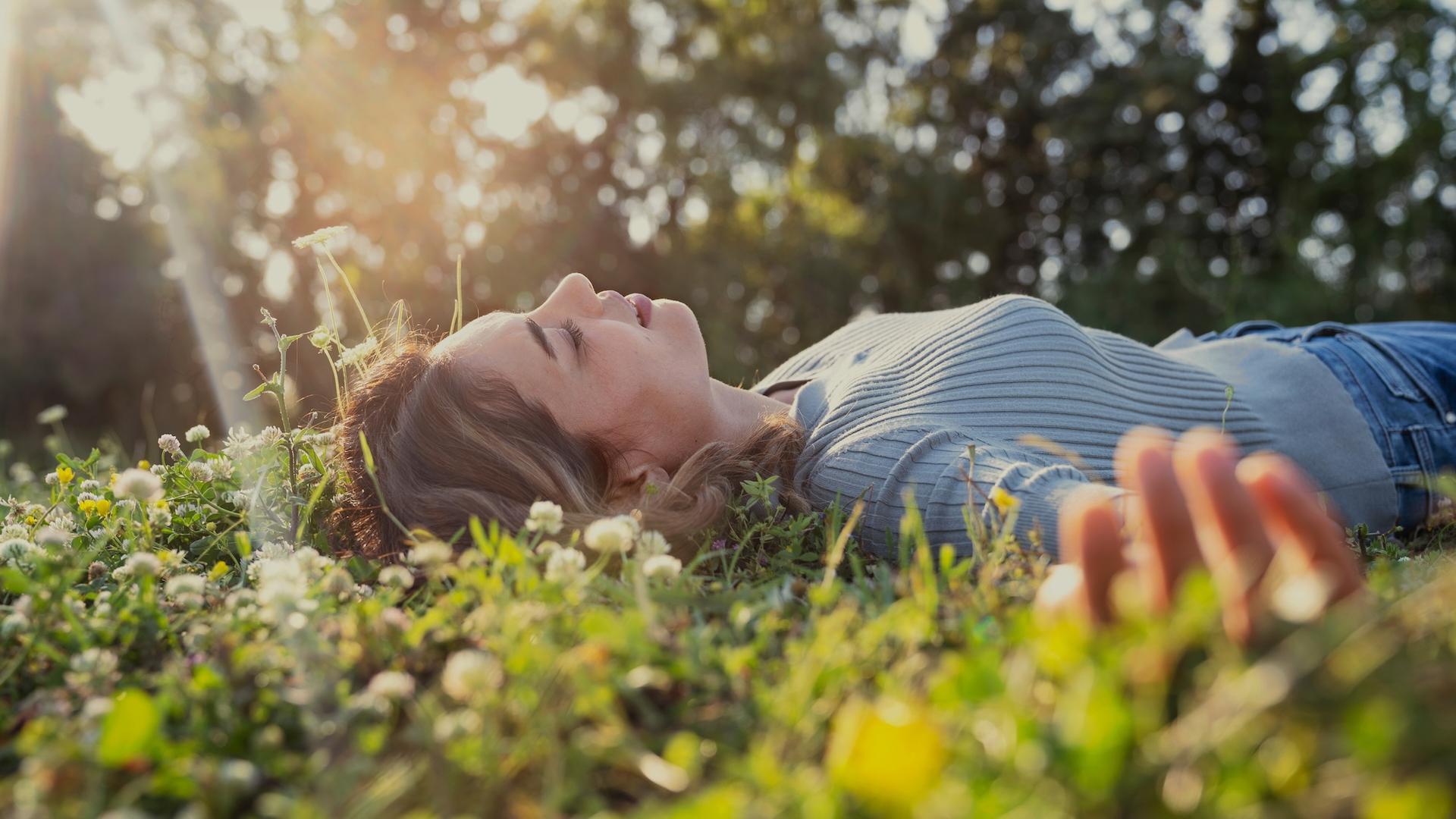 2 673 espèces : ce qu’une scientifique a découvert dans son jardin pourrait changer votre regard sur le vôtre