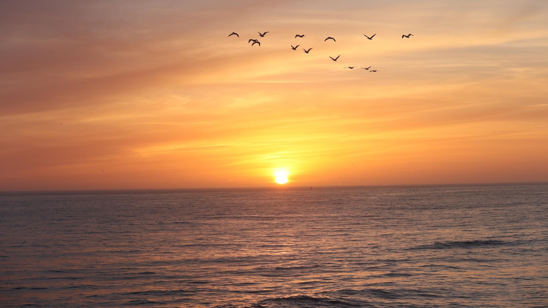 Les scientifiques sont inquiets : l’océan change sur 4 fronts à la fois, et c’est déjà visible sur près de 40 % de sa surface