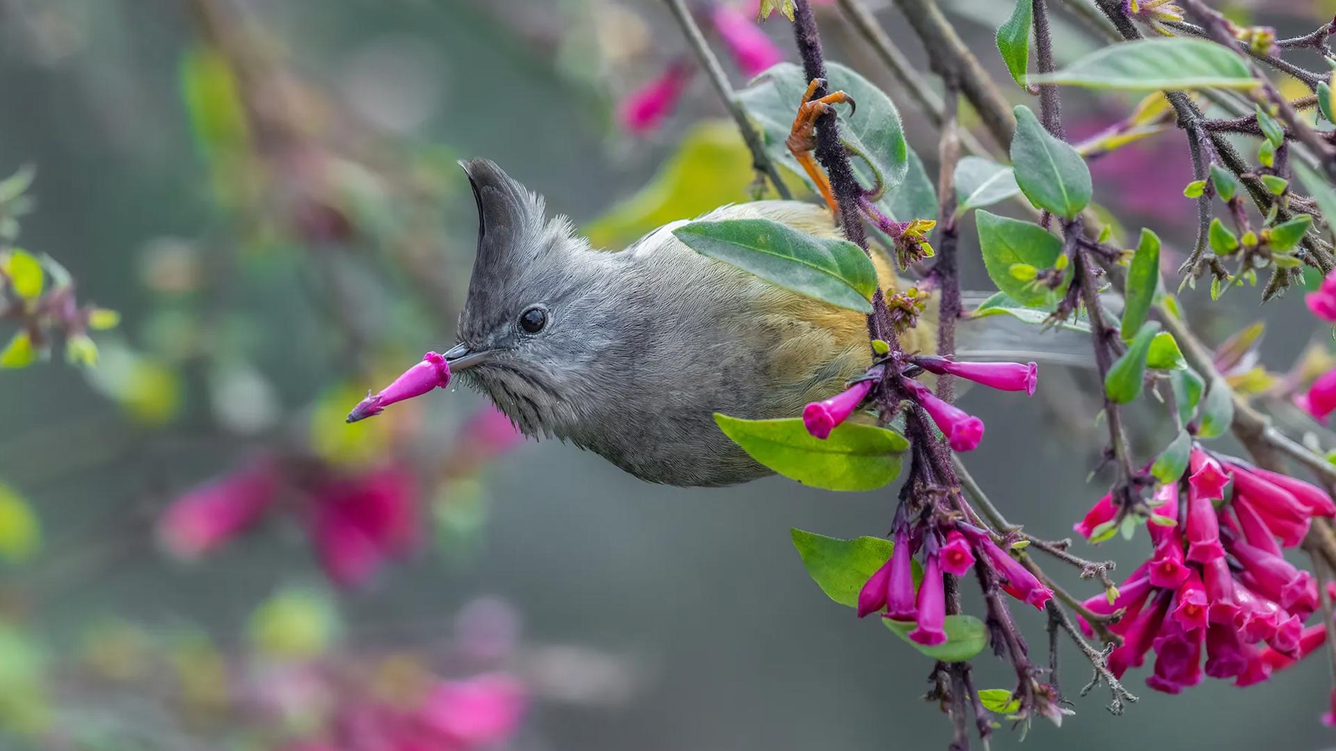 Ces images inédites d’animaux sont peut-être les plus drôles que vous verrez aujourd’hui