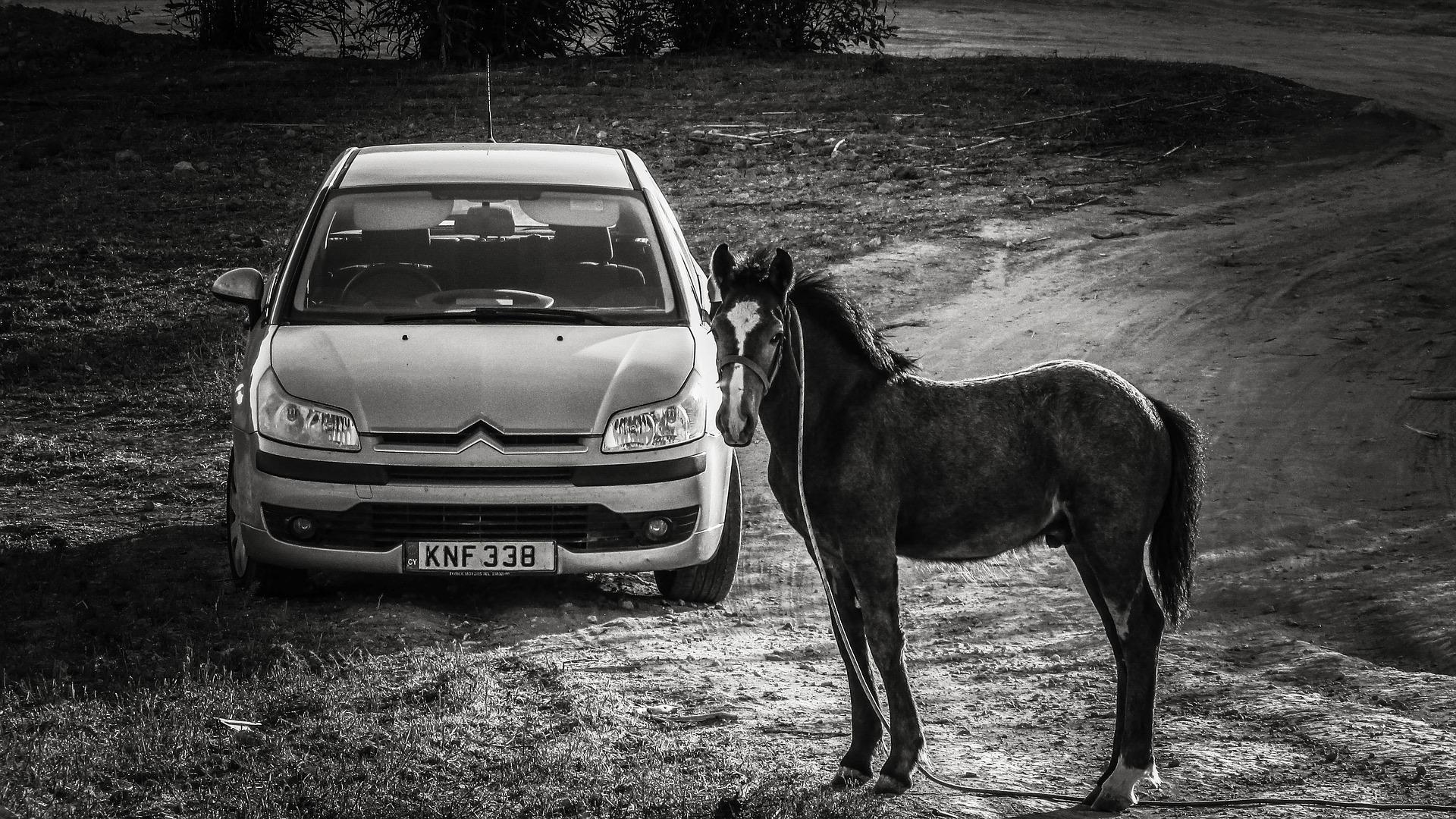 Pourquoi mesureton la puissance des moteurs en chevaux — free download