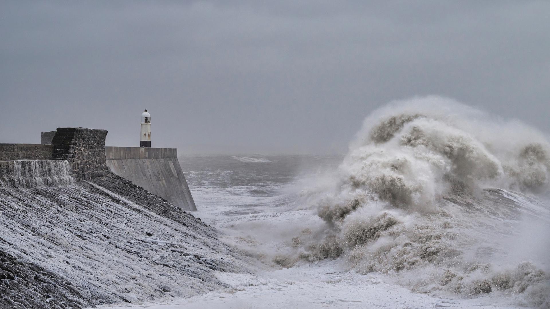 Ils ont transporté un marais entier pour lui faire subir une tempête extrême du « millénaire » : voici ce qui s'est passé