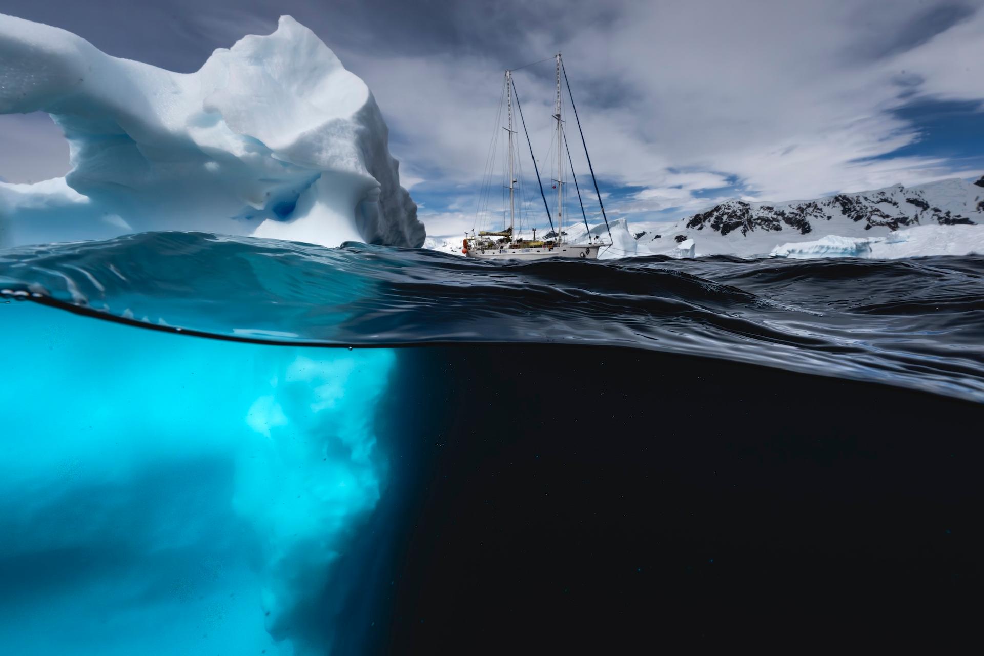 Ces images semblent venir des tropiques : elles ont été prises sous la glace de l'Antarctique