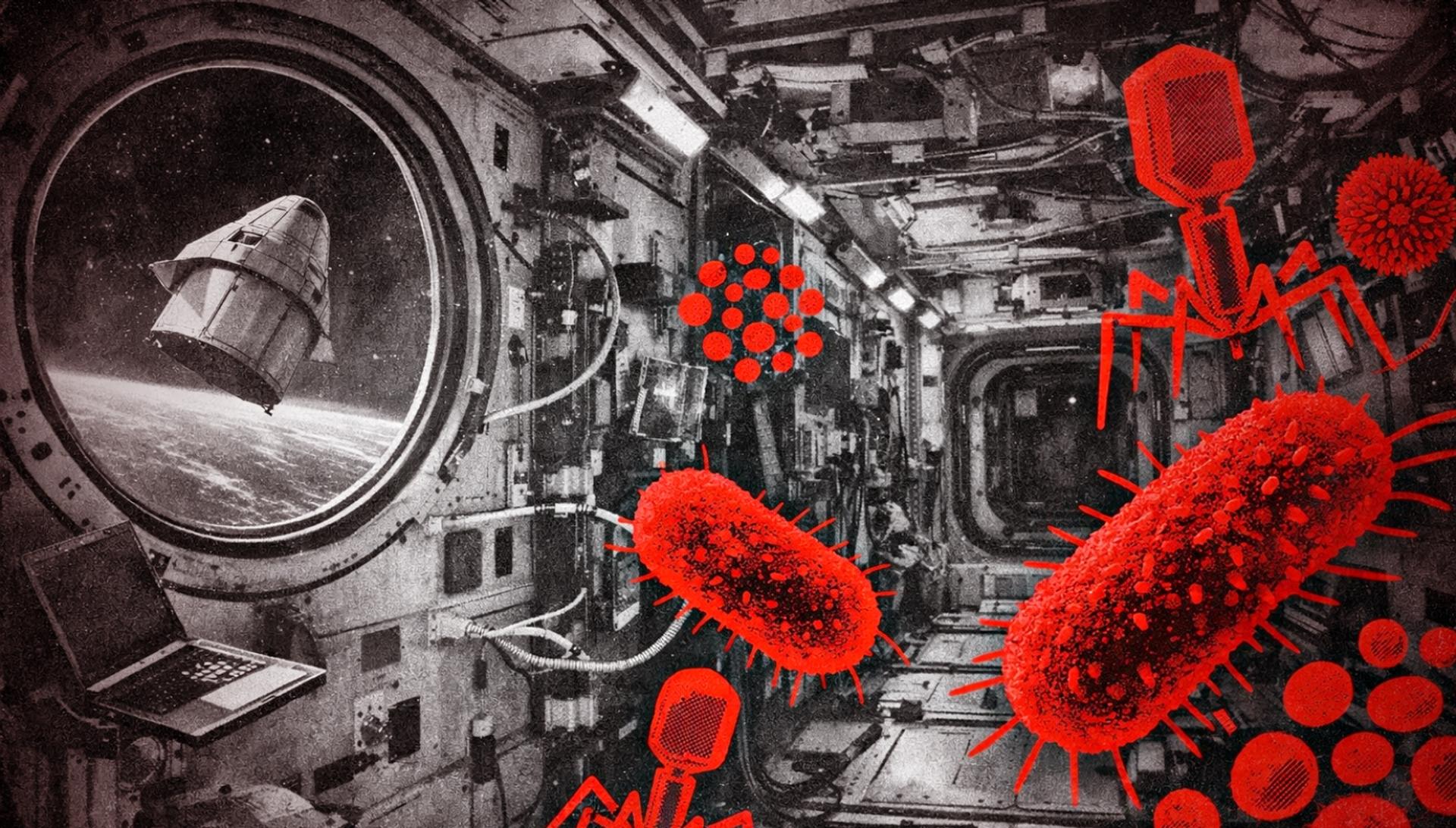 Étrange découverte : virus et bactéries mutent dans l’ISS… et ce qu’ils déclenchent n’a jamais été vu sur Terre