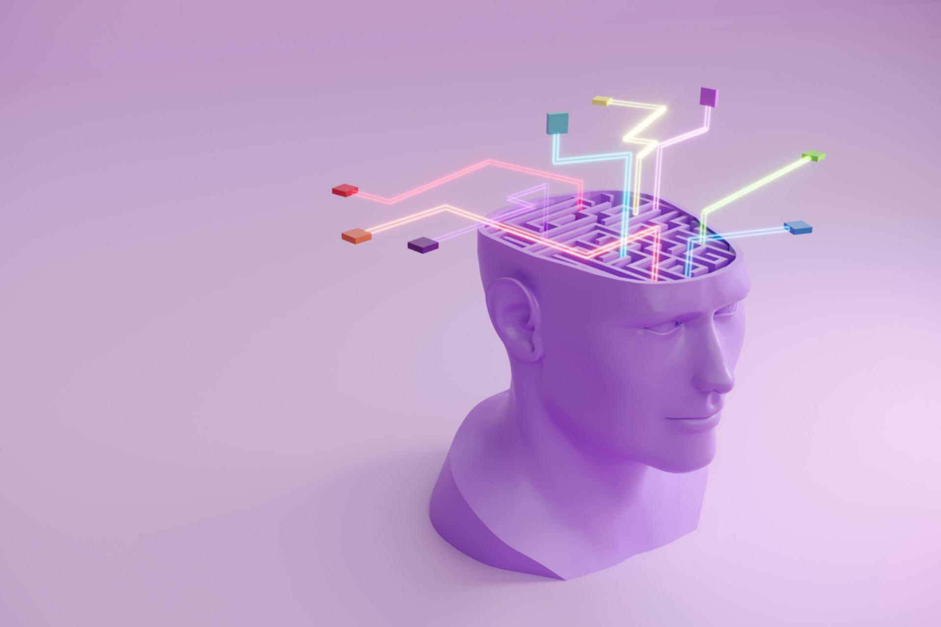 Oubliez les jeux cérébraux : ces habitudes simples boostent vraiment votre cerveau, selon les chercheurs