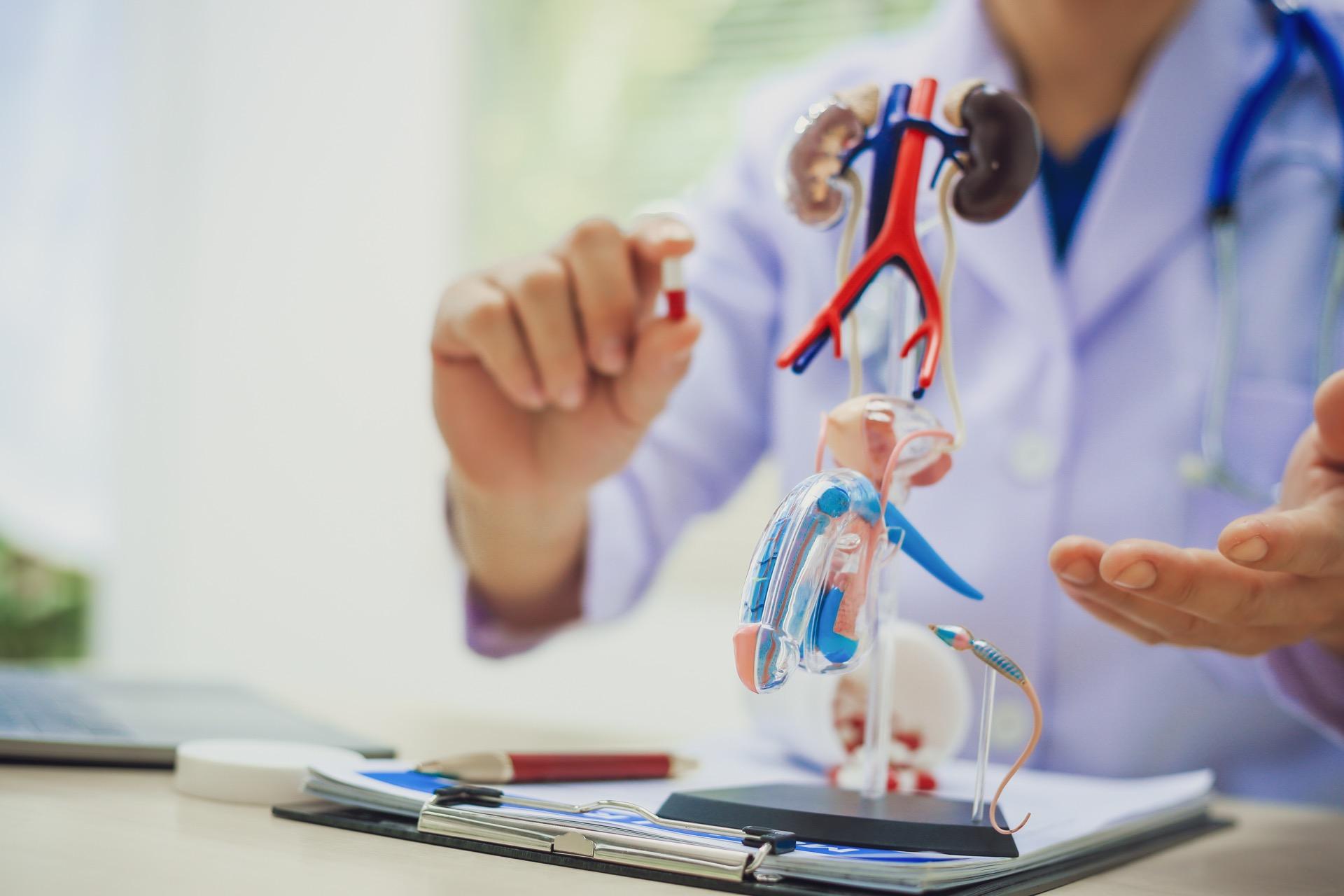 Agrandissement du pénis : la demande est croissante mais quels sont les risques ?